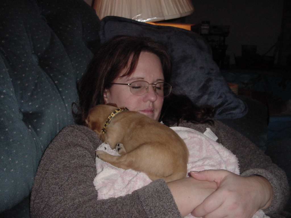 The picture taking was hard work, for subject and photographer, puppy #12 (Peanut) sleeping with Nancy