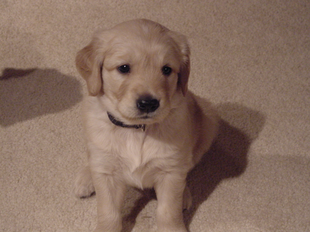 Tucker posing for the camera.