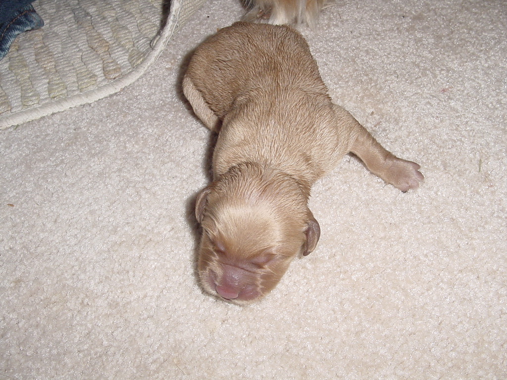 One newborn making a get-away.