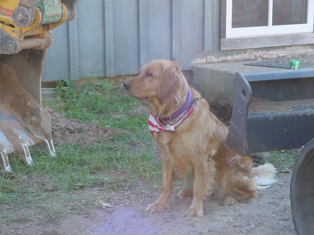 Keeta supervising work on the fixer-up house.