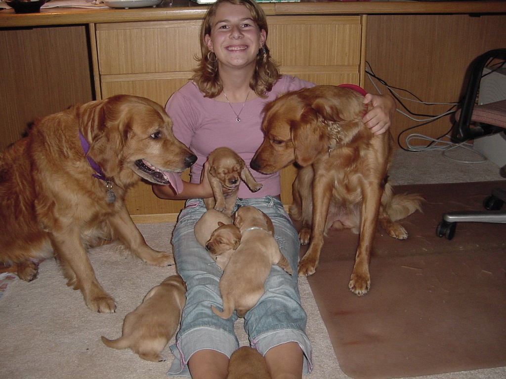 Lara with all the puppies on her last day before going home to Germany