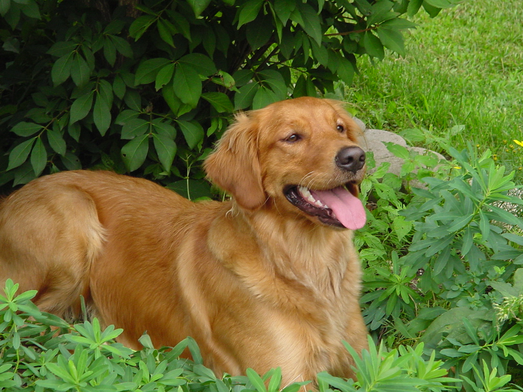 With the spotlight on Keeta being pregnant, Nina decides the flower bed is a great place to be.