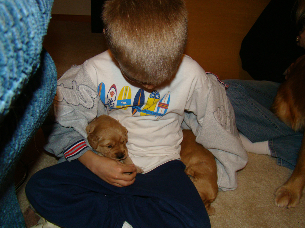 Joey cuddling two puppies