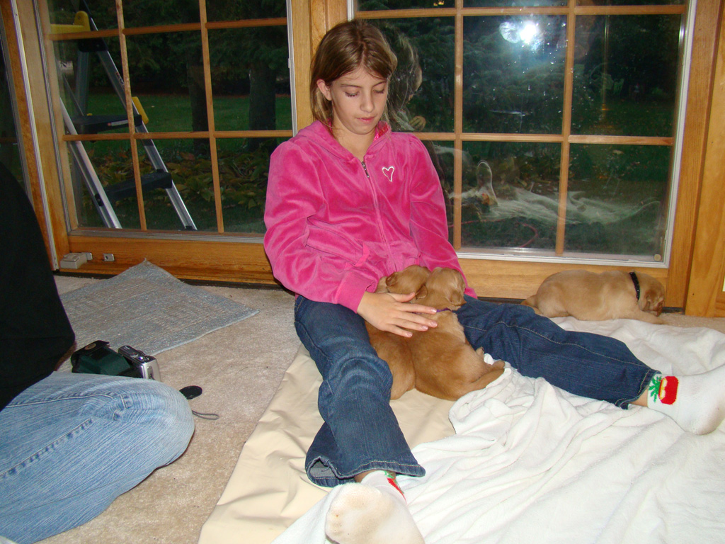 Sammy petting two puppies