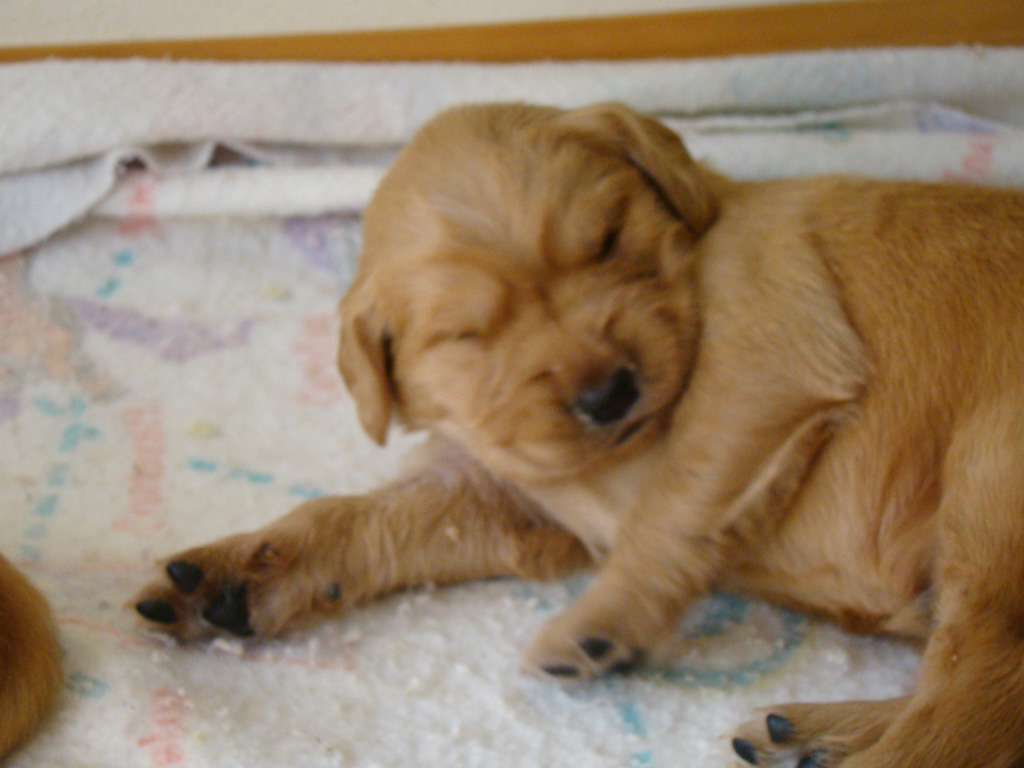 Tuffy waking up