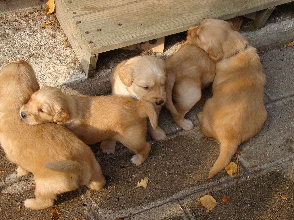 Snuggling outside