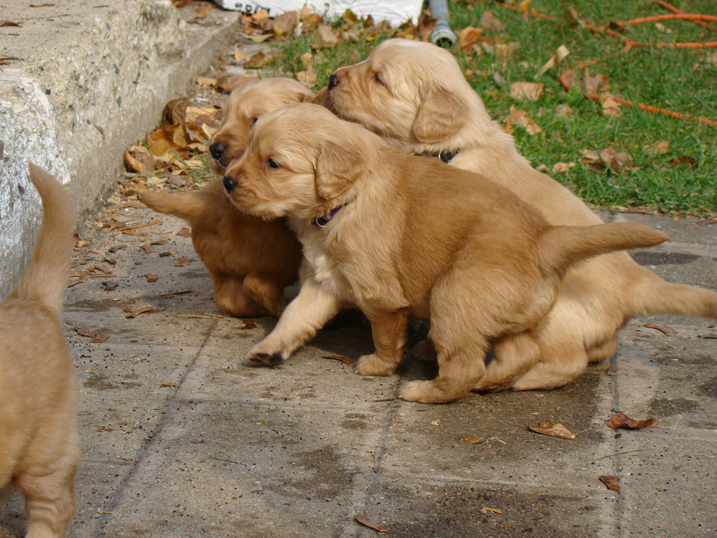 Playing outside