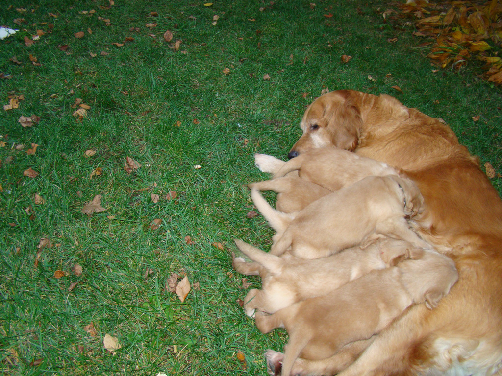 Feeding time outside