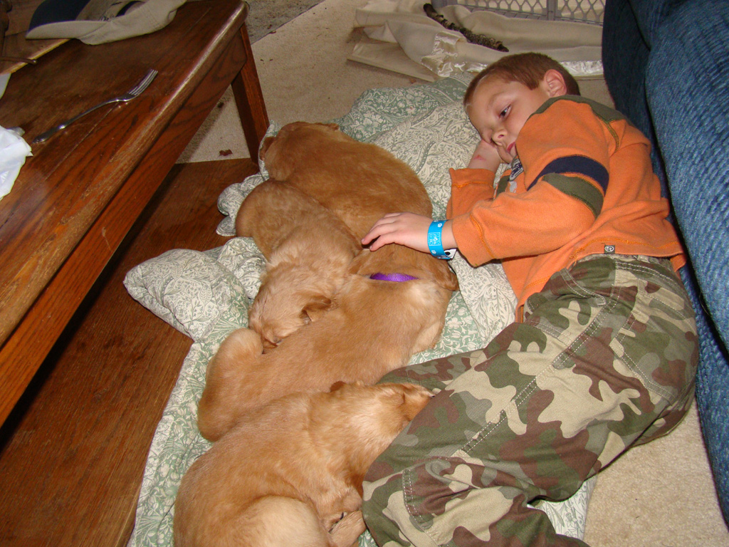 Braden with puppies