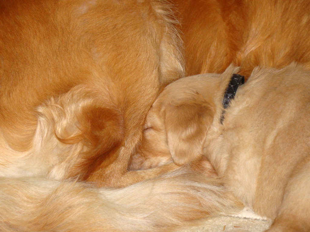 Snuggling with Mom