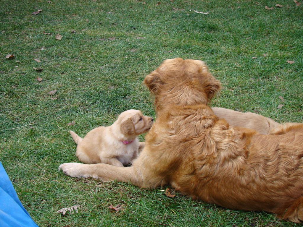 Xena and Mamma Keeta