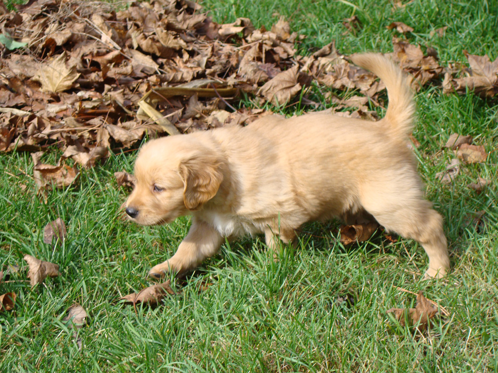 Zoey checking out more more stuff