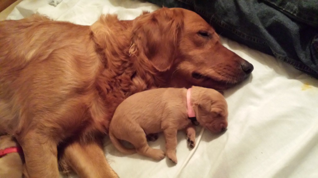 Mommy and daughter snuggled.