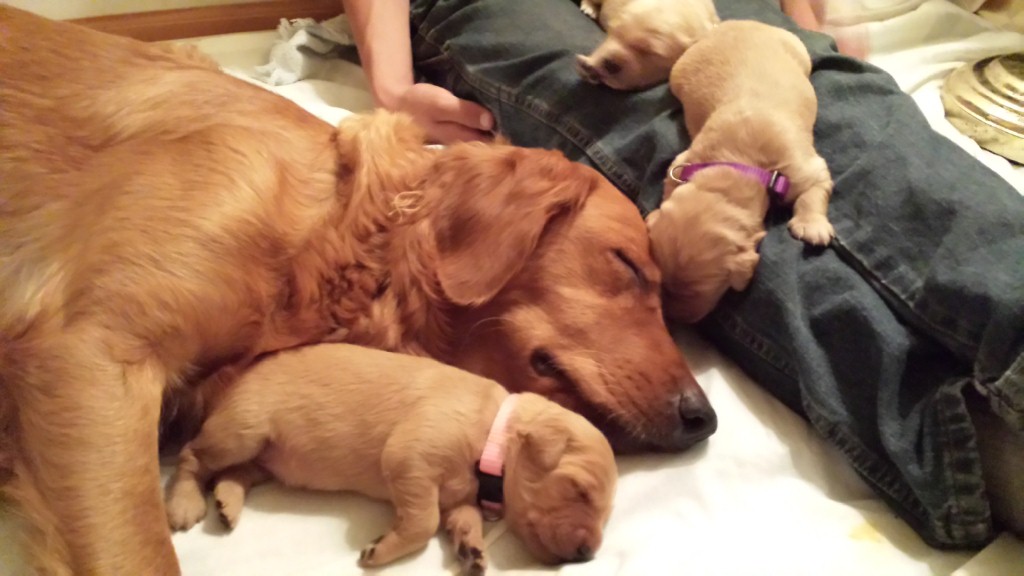 Mommy and daughter snuggled.