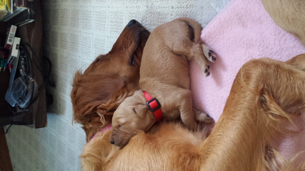 Mommy and Rex snuggles.