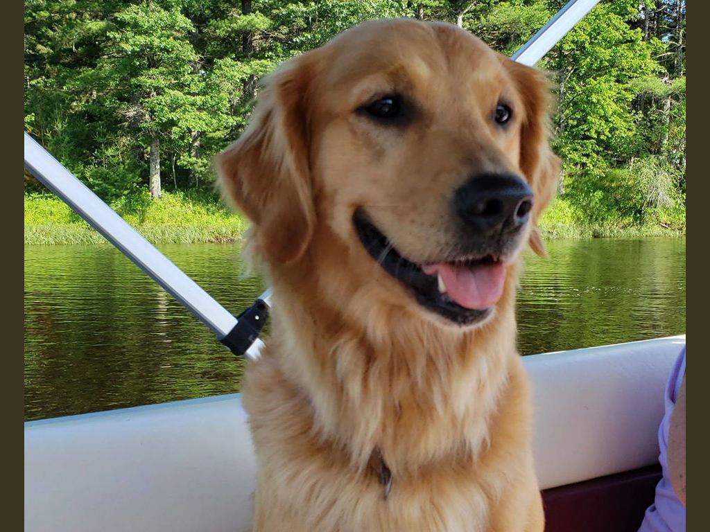 Pontoon ride on the river. 