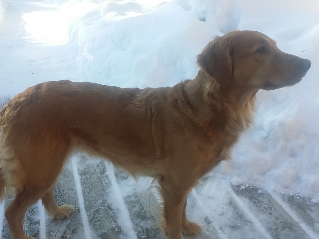 Winter, on the deck.