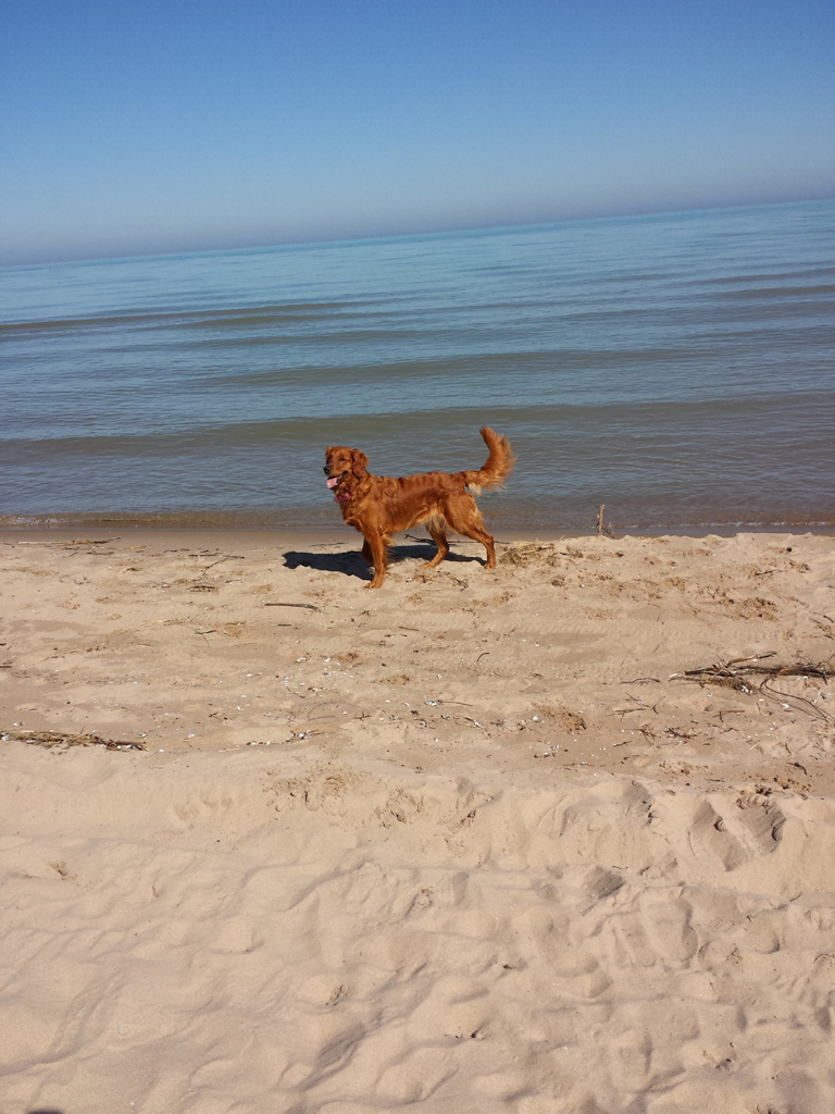 T'akaya, fun at Lake Michigan before meeting Trek for a date.